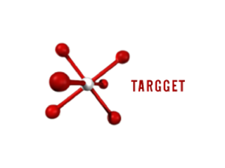 logo-targget logo-targget
